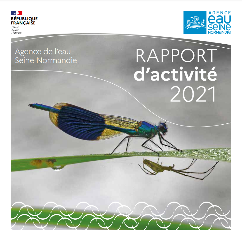 couverture du rapport d'activité 2021 avec une photo de libellule 