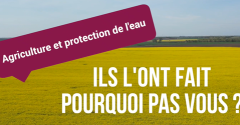 Logo ilslontfaitpourquoipasvous